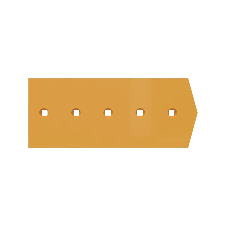 CM20250131-f77f6-ce643.webp